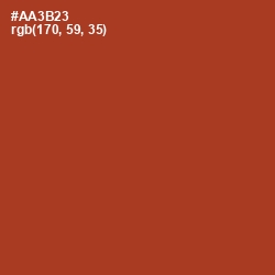 #AA3B23 - Roof Terracotta Color Image