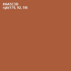 #AA5C3B - Brown Rust Color Image