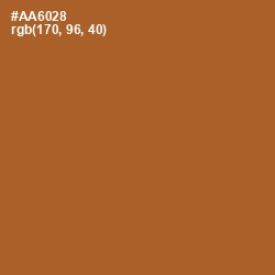#AA6028 - Desert Color Image