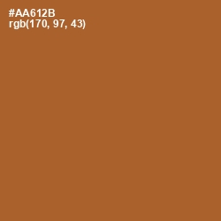 #AA612B - Desert Color Image