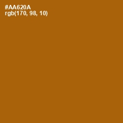 #AA620A - Pumpkin Skin Color Image