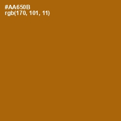 #AA650B - Mai Tai Color Image