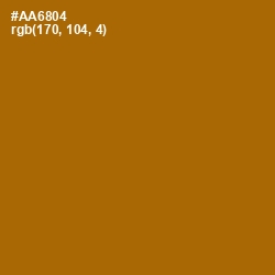 #AA6804 - Mai Tai Color Image