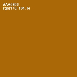 #AA6806 - Mai Tai Color Image