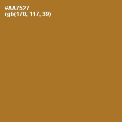 #AA7527 - Copper Color Image