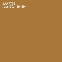 #AA773B - Copper Color Image