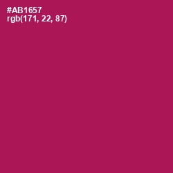 #AB1657 - Jazzberry Jam Color Image