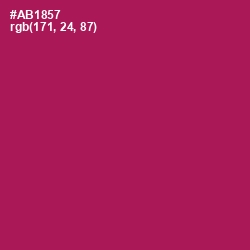 #AB1857 - Jazzberry Jam Color Image