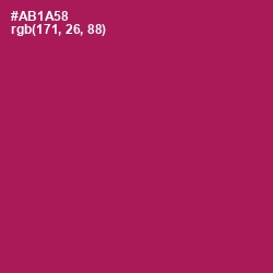 #AB1A58 - Jazzberry Jam Color Image