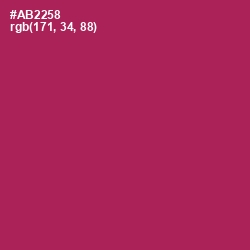 #AB2258 - Night Shadz Color Image