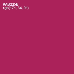 #AB225B - Night Shadz Color Image