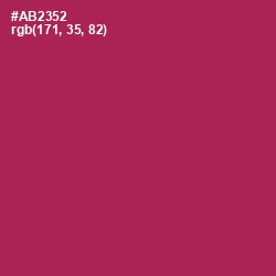 #AB2352 - Night Shadz Color Image