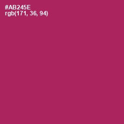 #AB245E - Night Shadz Color Image