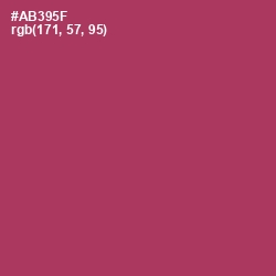 #AB395F - Night Shadz Color Image