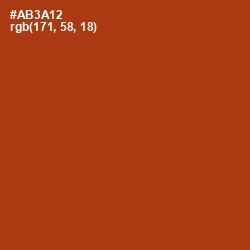 #AB3A12 - Tabasco Color Image