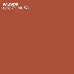 #AB5039 - Brown Rust Color Image