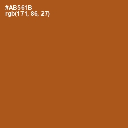 #AB561B - Fiery Orange Color Image