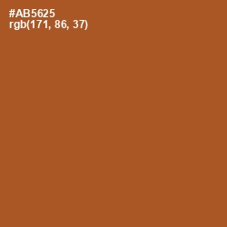 #AB5625 - Paarl Color Image