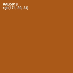 #AB5918 - Fiery Orange Color Image