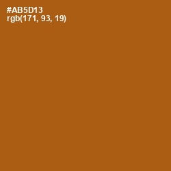 #AB5D13 - Fiery Orange Color Image