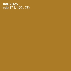 #AB7B25 - Copper Color Image