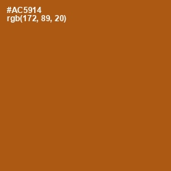 #AC5914 - Fiery Orange Color Image