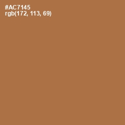 #AC7145 - Santa Fe Color Image