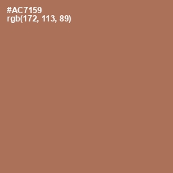 #AC7159 - Santa Fe Color Image