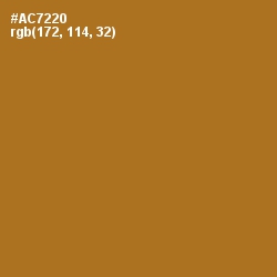 #AC7220 - Desert Color Image