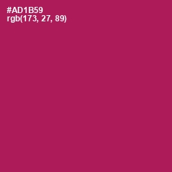 #AD1B59 - Jazzberry Jam Color Image