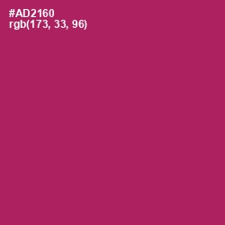 #AD2160 - Hibiscus Color Image
