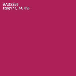 #AD2259 - Night Shadz Color Image