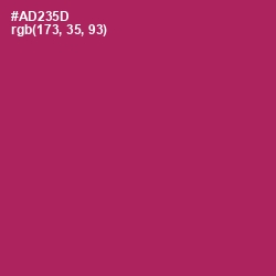 #AD235D - Night Shadz Color Image