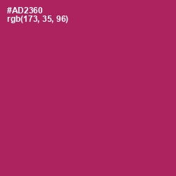 #AD2360 - Hibiscus Color Image