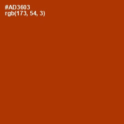 #AD3603 - Tabasco Color Image