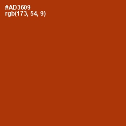 #AD3609 - Tabasco Color Image