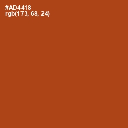 #AD4418 - Rust Color Image
