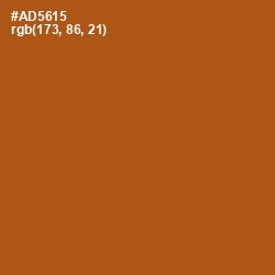 #AD5615 - Fiery Orange Color Image