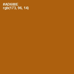 #AD600E - Pumpkin Skin Color Image