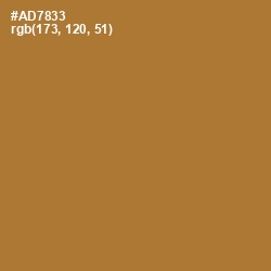 #AD7833 - Copper Color Image