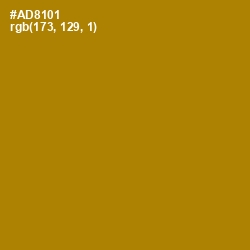 #AD8101 - Hot Toddy Color Image