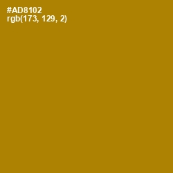 #AD8102 - Hot Toddy Color Image