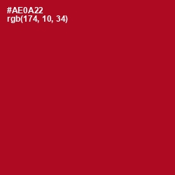 #AE0A22 - Shiraz Color Image