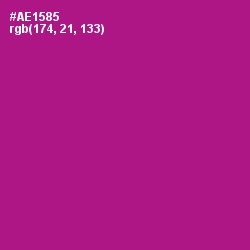 #AE1585 - Violet Eggplant Color Image