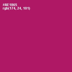 #AE1865 - Lipstick Color Image