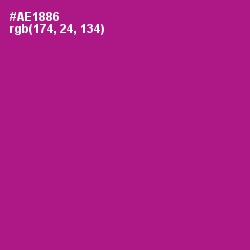 #AE1886 - Violet Eggplant Color Image