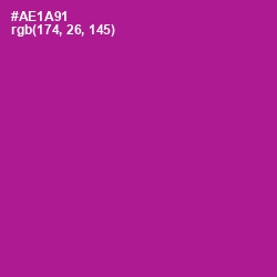 #AE1A91 - Violet Eggplant Color Image