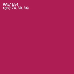#AE1E54 - Jazzberry Jam Color Image