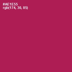 #AE1E55 - Jazzberry Jam Color Image