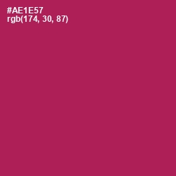 #AE1E57 - Jazzberry Jam Color Image